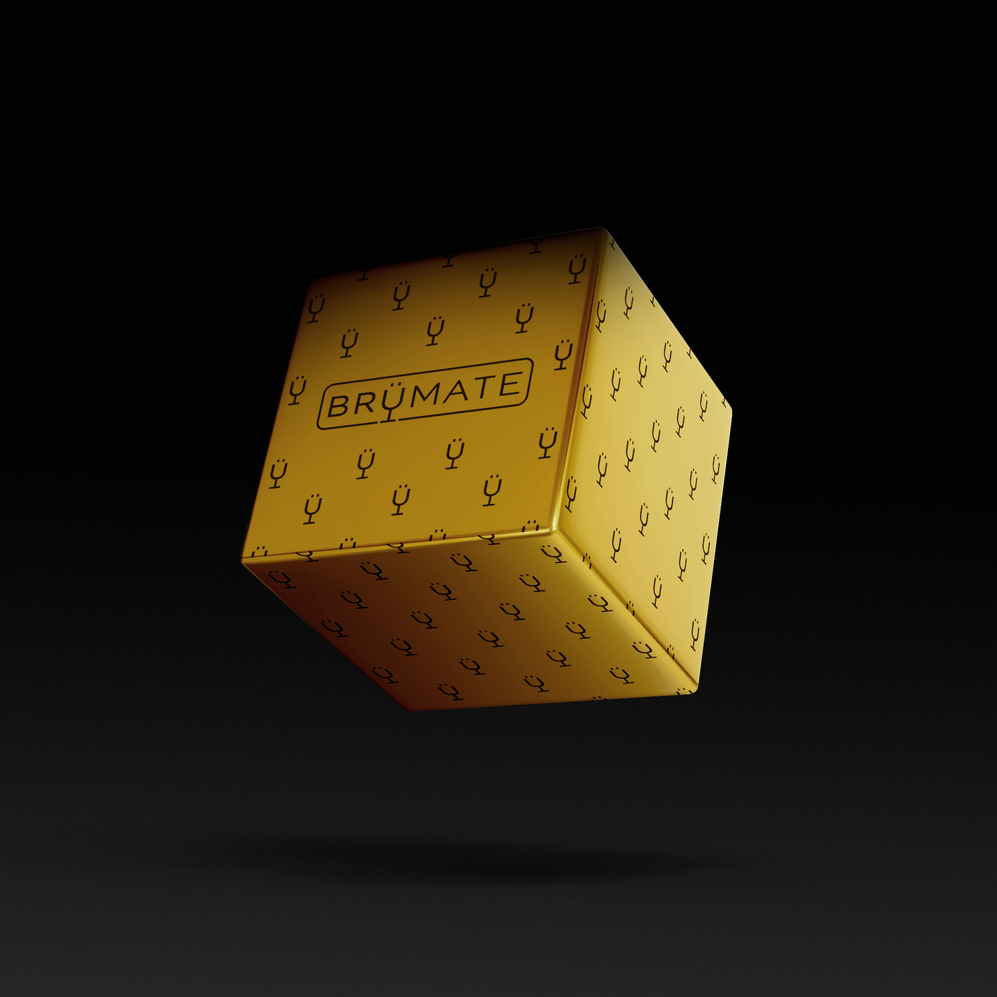 premium-mystery-item-39-70-value-u3 IMG-1548.png